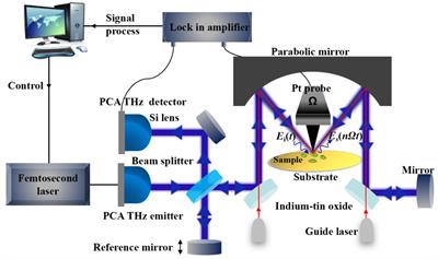 Label-free detection and identification of single bacteria via terahertz near-field imaging